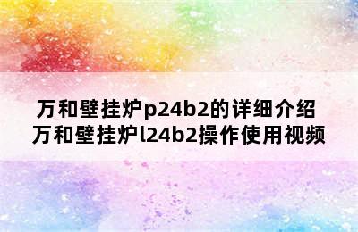 万和壁挂炉p24b2的详细介绍 万和壁挂炉l24b2操作使用视频